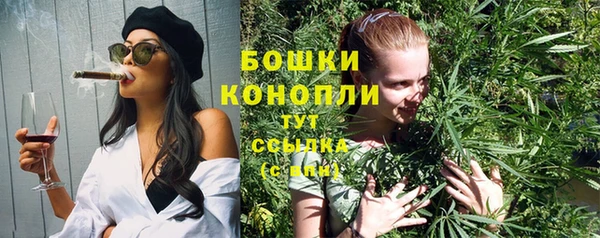 амф Кулебаки