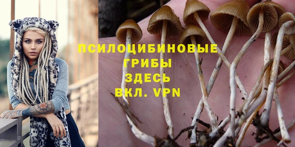 сатива Алексин