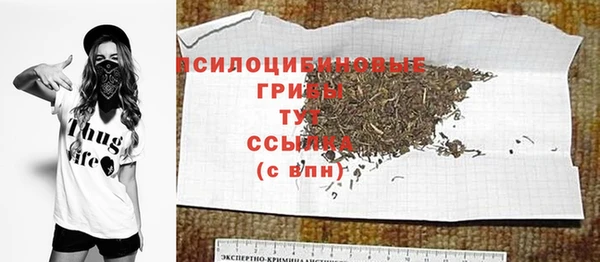 амф Кулебаки