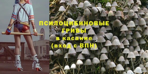сатива Алексин
