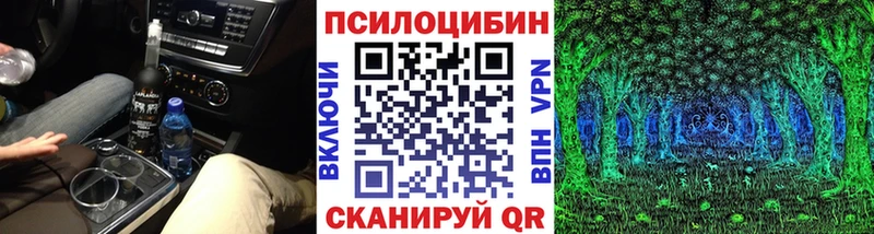 omg вход  Барнаул  Псилоцибиновые грибы мицелий 